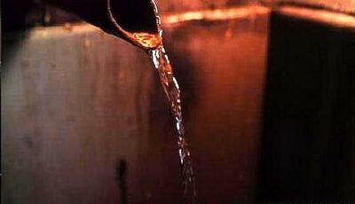 2021年1－8月釀酒行業運行情況